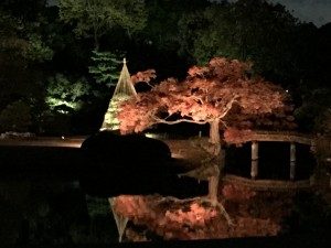 20141207_081338154_iOS