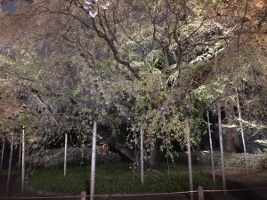 20150404_112748072_iOS