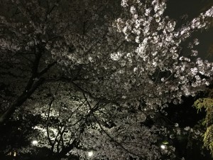 20150404_112822071_iOS
