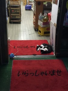 ''